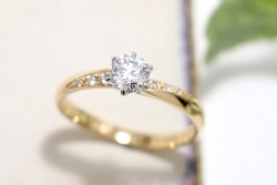 WAXコース《Option》
Dia1Pic ¥3,850-