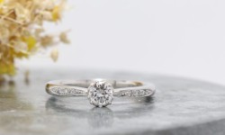 WAXコース 《Option》 Dia1Pic ¥3,850-