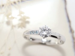 WAXコース 《Option》 Dia1Pic ¥3,850- Icebluedia¥4,950-