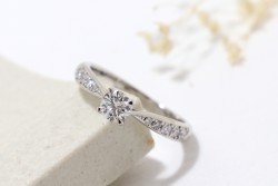 WAXコース
《Option》
Dia1Pic ¥3,850-