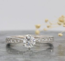 WAXコース 《Option》 Dia1Pic ¥3,850- 豪華な婚約指輪