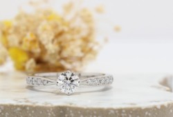 WAXコース 《Option》 Dia1Pic ¥3,850-